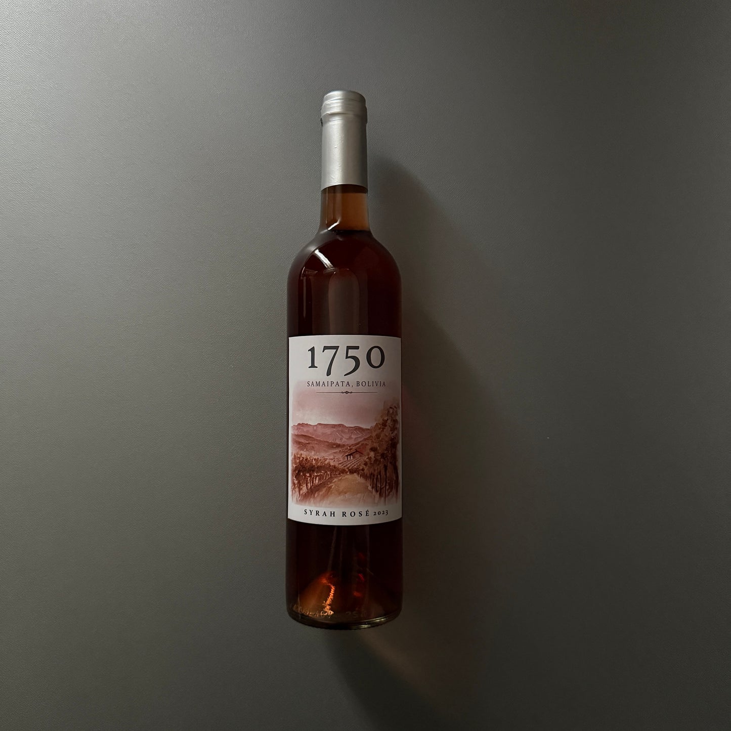 ボリビア産ワイン　1750 ロゼワイン　サマイパタ谷